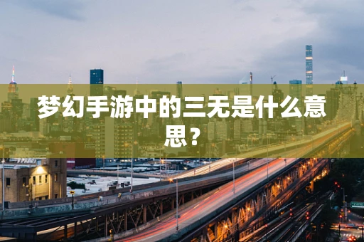 梦幻手游中的三无是什么意思？