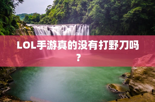 LOL手游真的没有打野刀吗？