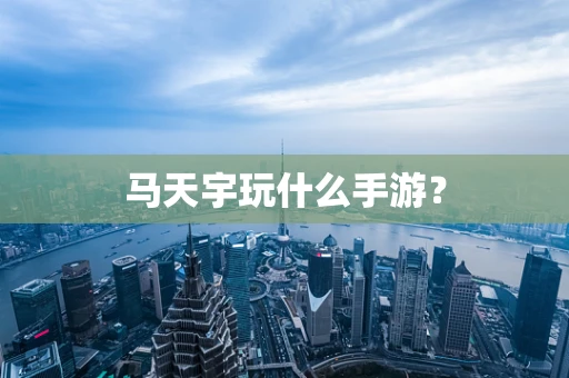 马天宇玩什么手游？