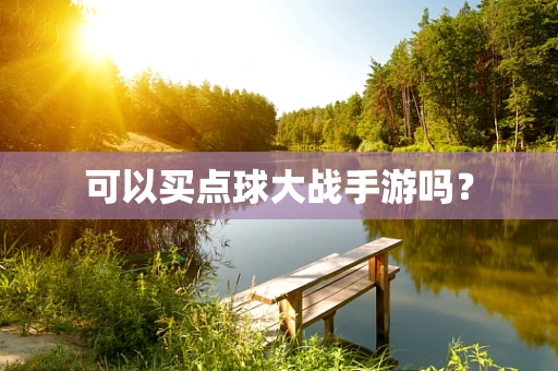 可以买点球大战手游吗？