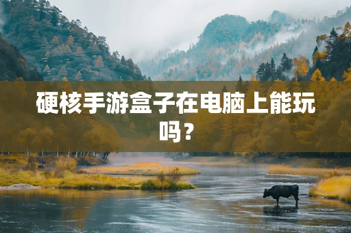 硬核手游盒子在电脑上能玩吗？