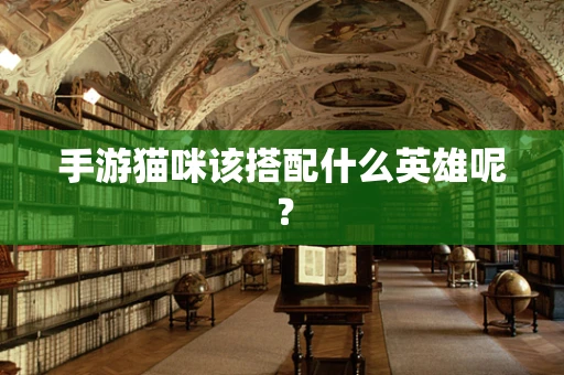 手游猫咪该搭配什么英雄呢？