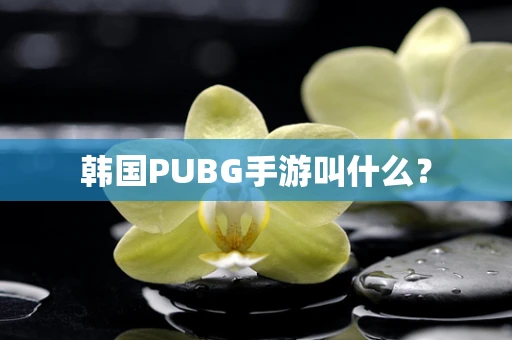 韩国PUBG手游叫什么？
