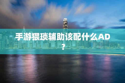 手游猥琐辅助该配什么AD？