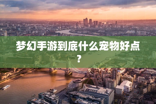 梦幻手游到底什么宠物好点？