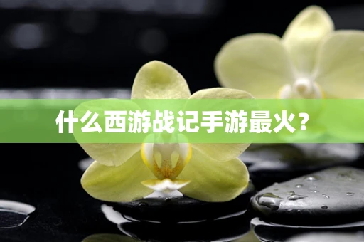 什么西游战记手游最火？