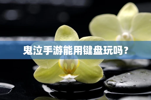 鬼泣手游能用键盘玩吗？