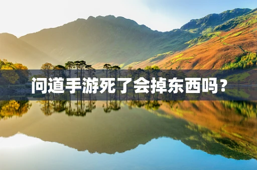 问道手游死了会掉东西吗？