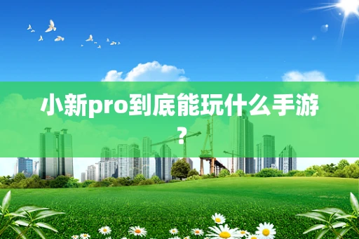小新pro到底能玩什么手游？