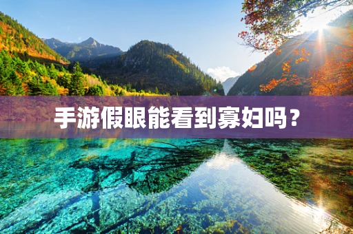 手游假眼能看到寡妇吗？