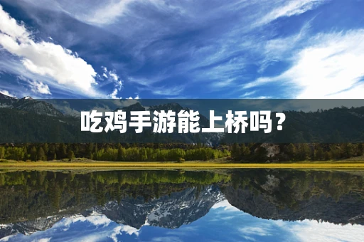 吃鸡手游能上桥吗？