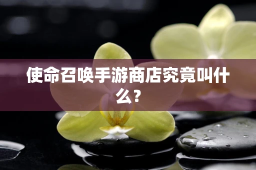 使命召唤手游商店究竟叫什么？