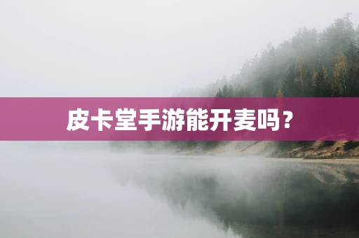 皮卡堂手游能开麦吗？
