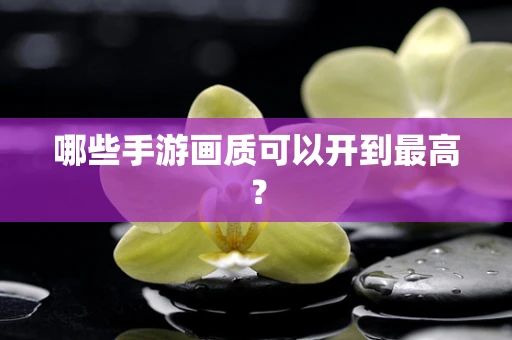哪些手游画质可以开到最高？