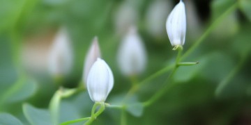 手游蜗牛账号安全吗？